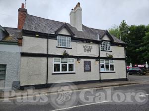 Picture of The White Hart