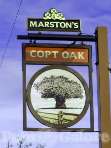 Picture of The Copt Oak