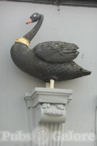 Picture of Black Swan