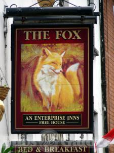 Picture of The Fox