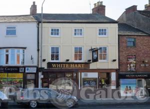 Picture of White Hart