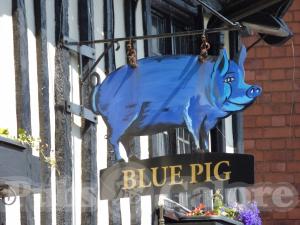 Picture of Blue Pig