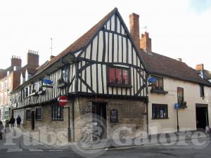 Picture of Blue Pig