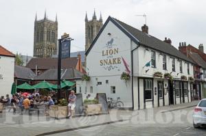 Picture of Lion & Snake