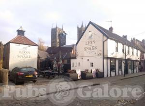 Picture of Lion & Snake