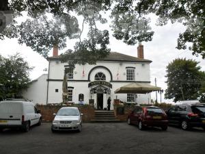 Picture of White Swan