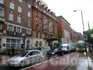 Picture of Number Twelve @ Ambassadors Hotel