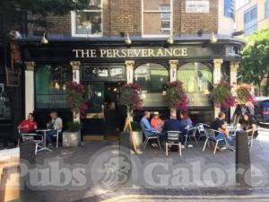 Picture of The Perseverance