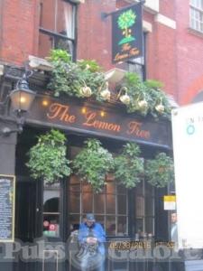 Picture of The Lemon Tree