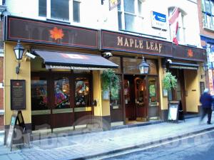 Picture of Maple Leaf