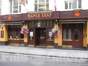Picture of Maple Leaf