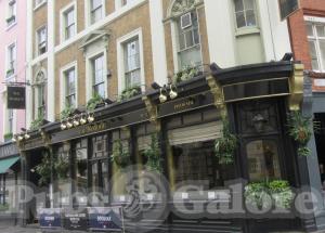 Picture of The Marquis