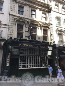 Picture of Princess of Wales