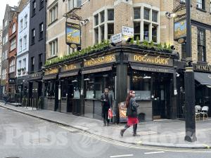 Picture of The Dog & Duck