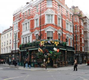 Picture of Mr Fogg's Botanical Tavern