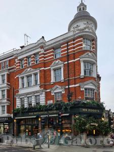 Picture of Mr Fogg's Botanical Tavern