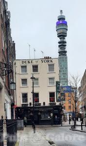 Picture of The Duke of York