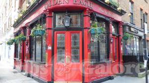 Picture of Golden Eagle