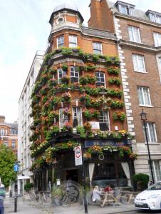 Picture of The Masons Arms