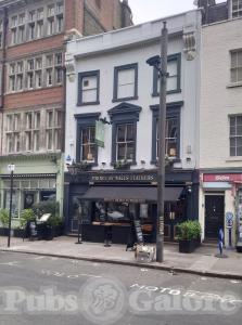 Picture of Prince of Wales Feathers