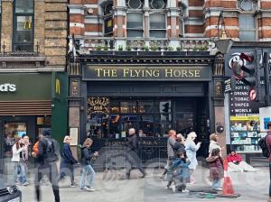 Picture of The Flying Horse