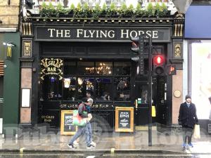 Picture of The Flying Horse