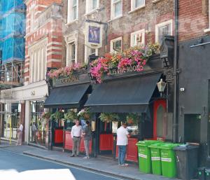 Picture of The Windmill