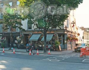 Picture of The Champion