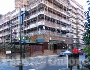 Picture of The Monkey Puzzle
