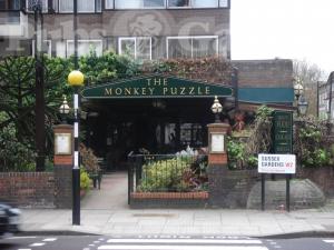 Picture of The Monkey Puzzle