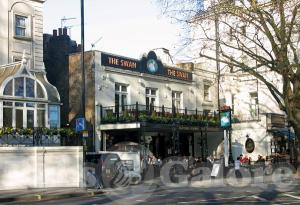 Picture of The Swan
