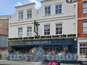Picture of The Pineapple