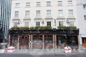 Picture of Duke of York
