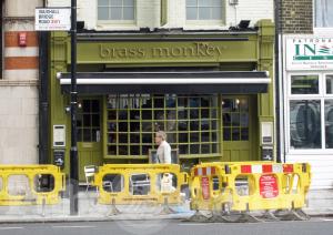 Picture of Brass Monkey