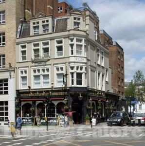 Picture of The White Swan
