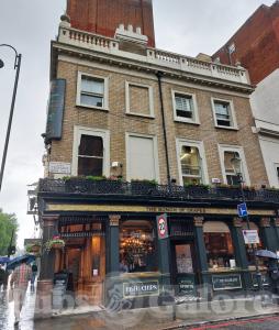 Picture of The Bunch of Grapes