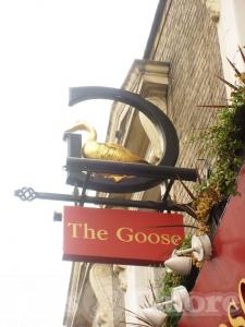 Picture of The Goose