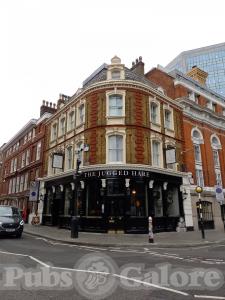 Picture of Jugged Hare