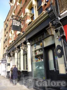 Picture of Old Red Cow