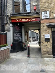 Picture of Old Red Cow