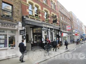 Picture of Old Red Cow