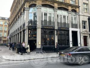 Picture of Golden Fleece