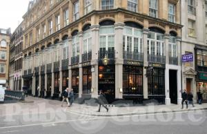 Picture of Golden Fleece