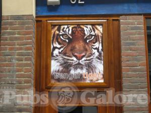 Picture of Bengal Tiger