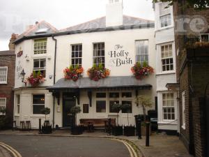 Picture of The Holly Bush