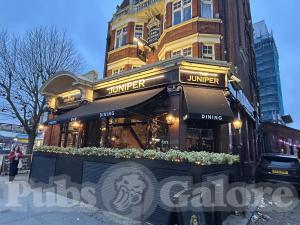 Picture of The Juniper