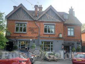 Picture of Adam & Eve