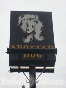 Picture of Spotted Dog