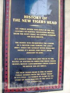Picture of The New Tigers Head
