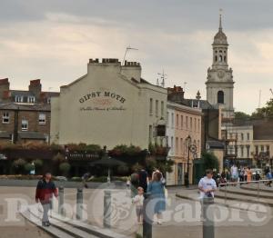 Picture of The Gipsy Moth